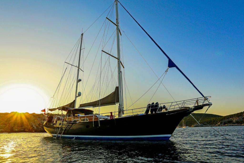 Tekne Luxury Boat In Marina Bodrum